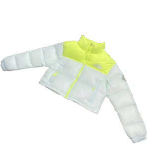 The North Face Coat -3